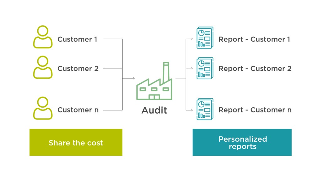 audits share the cost v2